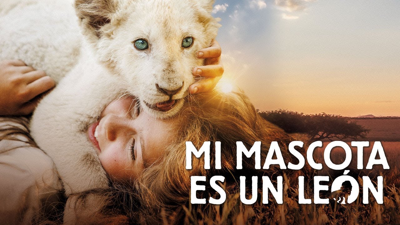 CRÍTICA DE CINE: “Mi mascota es un León” Sí, ese es un león real con una  niña de verdad. 